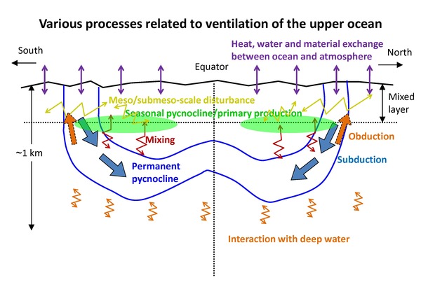 海洋上層のベンチレーションの模式図_英.jpg