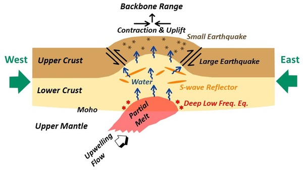 Fig2-E_AOB_1712.JPG