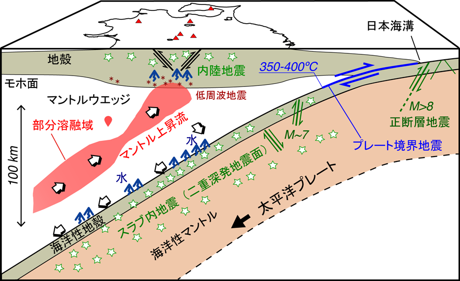 内陸地震発生過程の研究